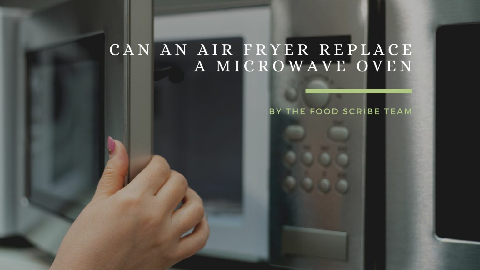 Can An Air Fryer Replace A Microwave Oven The Food Scribe