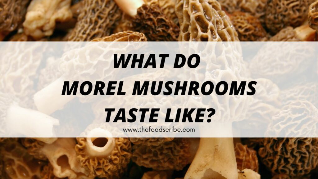 What do Morel Mushrooms taste like? The Food Scribe