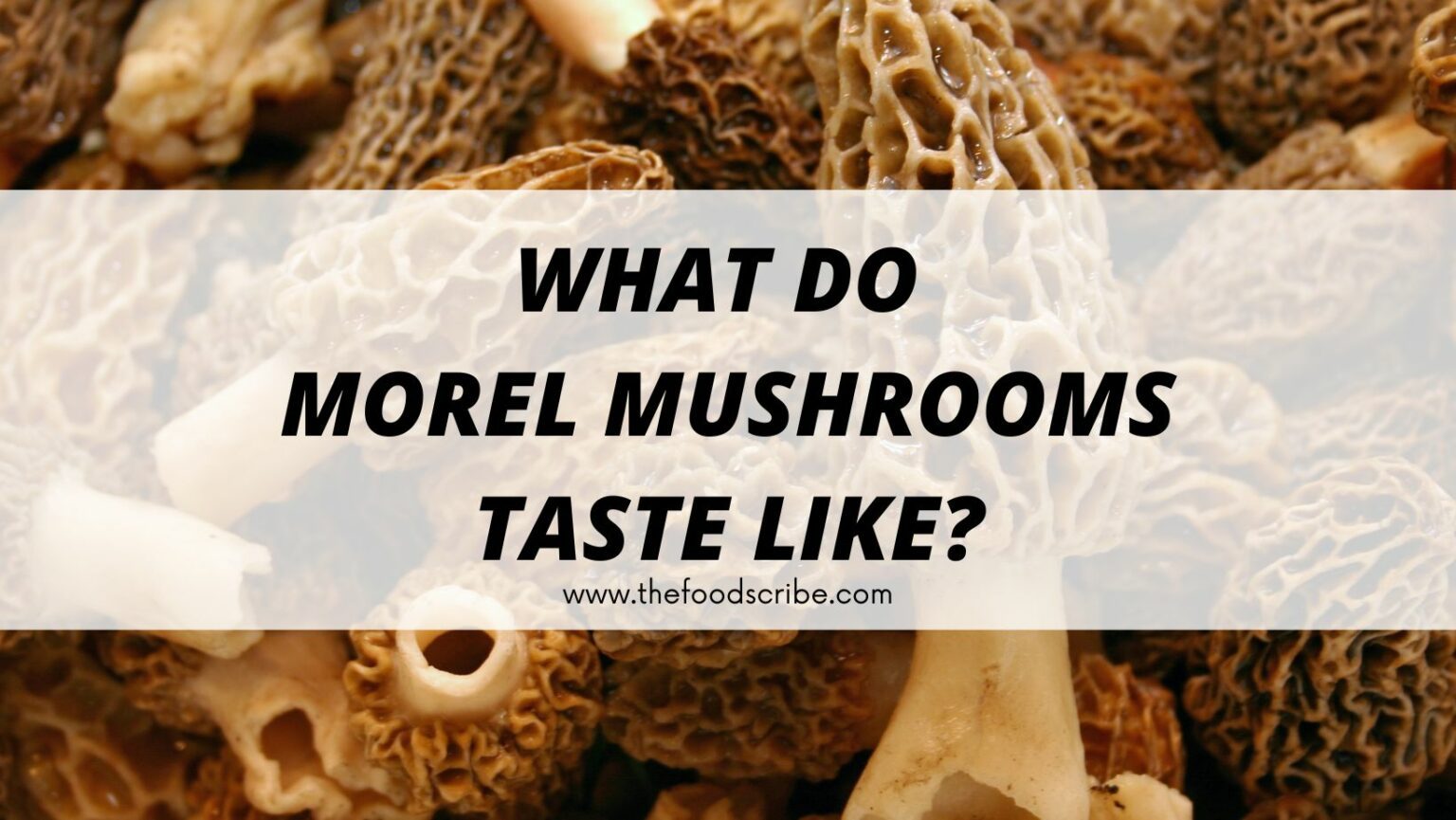 What do Morel Mushrooms taste like? The Food Scribe